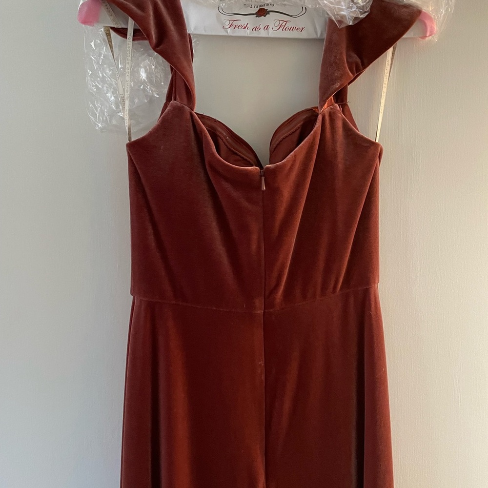 BHLDN Jenny Yoo Issa Velvet bridesmaid Dress - Picture 6 of 15